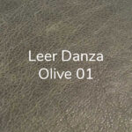 Leer Danza Olive 01