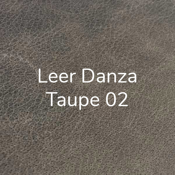 Leer Danza Taupe 02